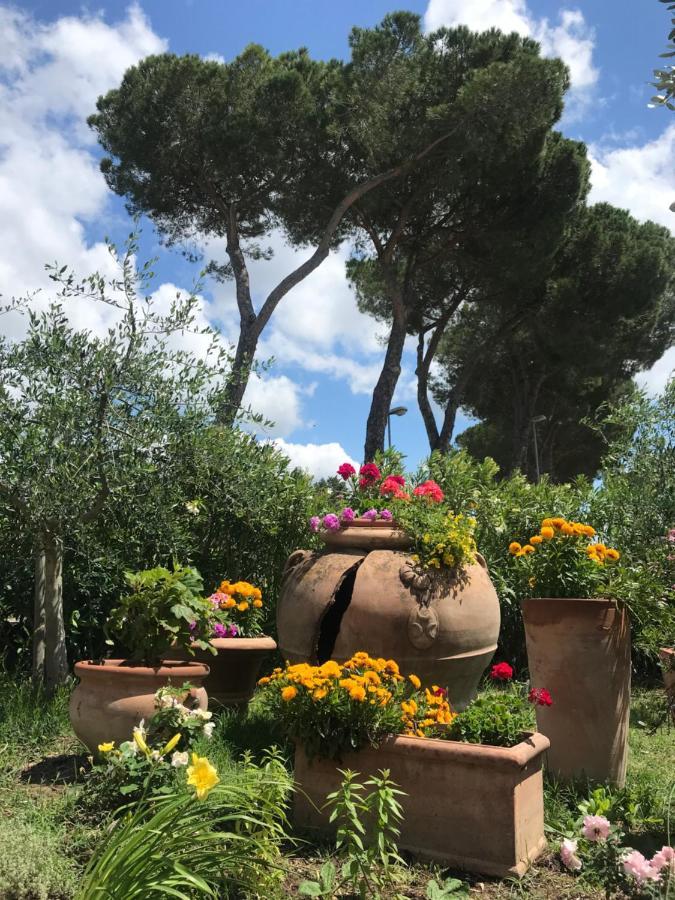 La Locanda Paradiso SantʼEgidio Buitenkant foto